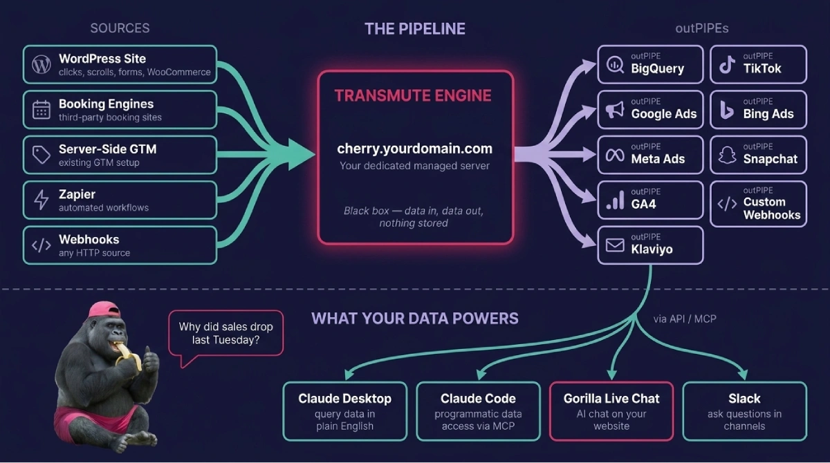 Transmute Engine data flow &mdash; sources to outPIPEs to AI access